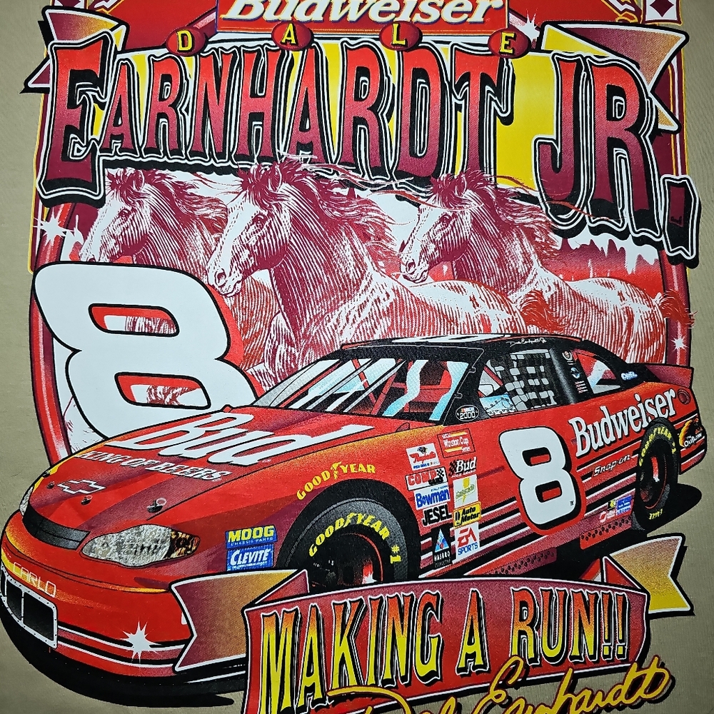 #6 2000 Dale Jr "Racing the Wind" Budweiser